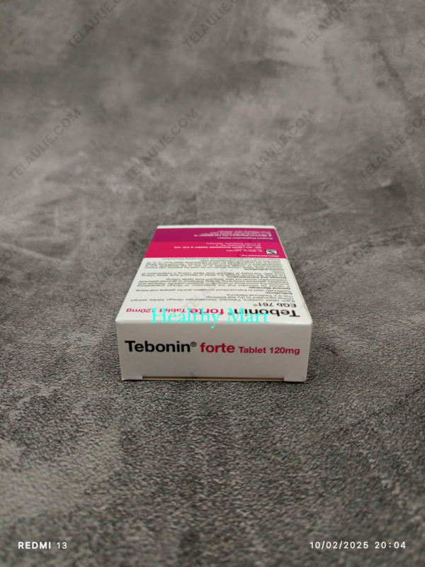 Tebonin Forte 120mg 30 Tablet